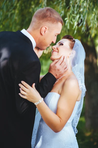 Novia y novio en el día de la boda caminando al aire libre en la naturaleza de primavera. Pareja nupcial, feliz mujer recién casada y hombre abrazándose en el parque verde. Amar pareja de boda al aire libre . — Foto de Stock