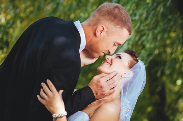 Novia y novio en el día de la boda caminando al aire libre en la naturaleza de primavera. Pareja nupcial, feliz mujer recién casada y hombre abrazándose en el parque verde. Amar pareja de boda al aire libre . — Foto de Stock