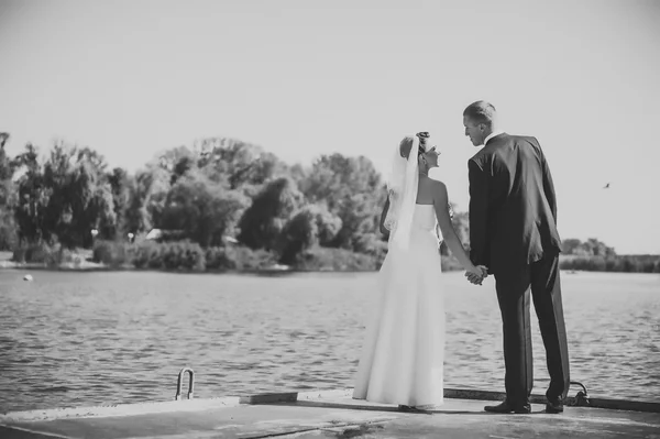 Pernikahan di tepi laut. Bulan madu. Pengantin wanita dan pengantin pria berpelukan di pantai Danau. Pengantin pria dan wanita berpelukan di danau hijau. Pengantin pria dan wanita di taman. gaun pengantin. Buket pernikahan pengantin bunga . — Stok Foto