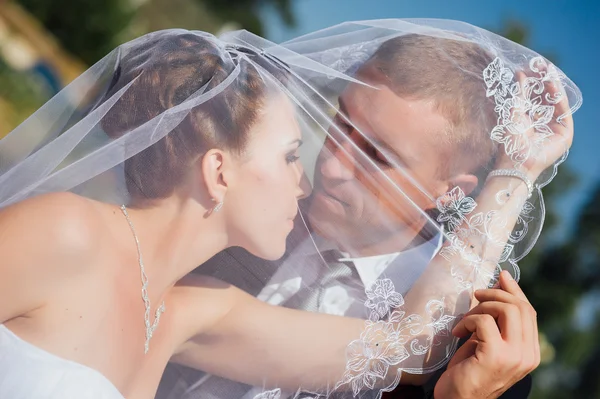 Novia y novio besándose bajo velo sosteniendo ramo de flores en la mano —  Fotos de Stock