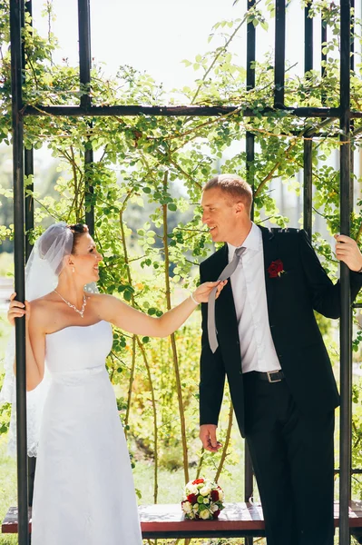 Noiva e noivo no dia do casamento andando ao ar livre na natureza de primavera. Casal nupcial, mulher recém-casada feliz e homem abraçando no parque verde. Casal de amor ao ar livre . — Fotografia de Stock