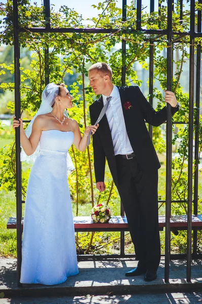 Novia y novio en el día de la boda caminando al aire libre en la naturaleza de primavera. Pareja nupcial, feliz mujer recién casada y hombre abrazándose en el parque verde. Amar pareja de boda al aire libre . —  Fotos de Stock