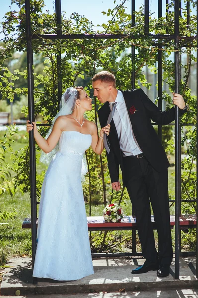 Novia y novio en el día de la boda caminando al aire libre en la naturaleza de primavera. Pareja nupcial, feliz mujer recién casada y hombre abrazándose en el parque verde. Amar pareja de boda al aire libre . —  Fotos de Stock