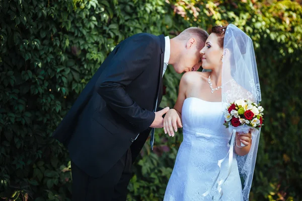 Gelin ve damat, düğün günü açık havada yürüyüş Doğa bahar. mutlu yeni evli kadın ve erkek yeşil park kucaklayan gelin çift. sevgi dolu evlilik çift açık.