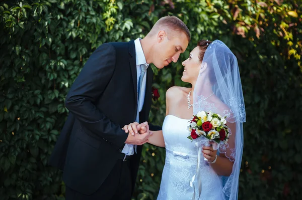 Novia y novio en el día de la boda caminando al aire libre en la naturaleza de primavera. Pareja nupcial, feliz mujer recién casada y hombre abrazándose en el parque verde. Amar pareja de boda al aire libre . —  Fotos de Stock