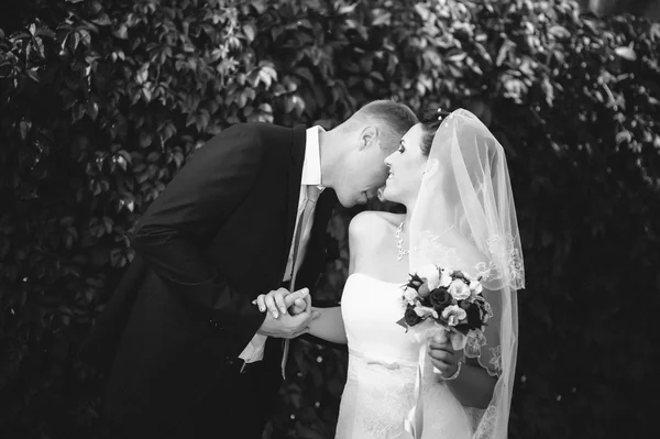 Sposo e Sposo al matrimonio Giorno camminando all'aperto sulla natura primaverile. Coppia di sposi, donna e uomo sposati felici che si abbracciano nel parco verde. Amare coppia di nozze all'aperto . — Foto Stock