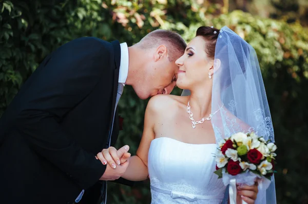 Gelin ve damat, düğün günü açık havada yürüyüş Doğa bahar. mutlu yeni evli kadın ve erkek yeşil park kucaklayan gelin çift. sevgi dolu evlilik çift açık. — Stok fotoğraf