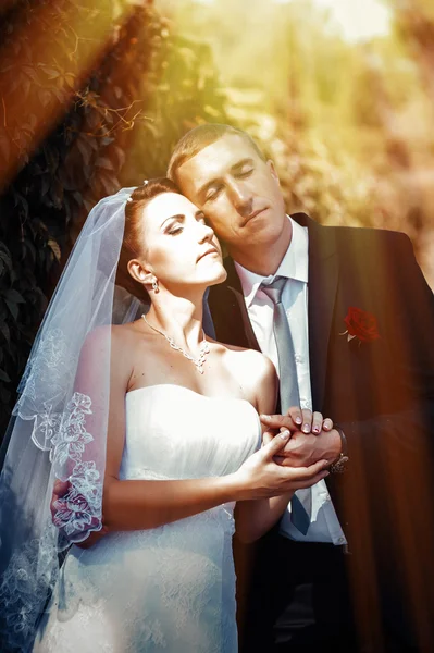 Novia y novio en el día de la boda caminando al aire libre en la naturaleza de primavera. Pareja nupcial, feliz mujer recién casada y hombre abrazándose en el parque verde. Amar pareja de boda al aire libre . —  Fotos de Stock