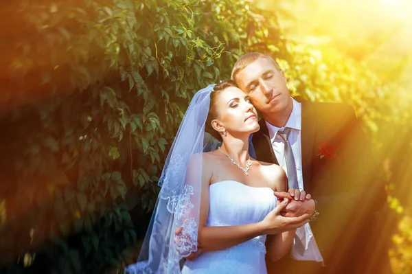 Noiva e noivo no dia do casamento andando ao ar livre na natureza de primavera. Casal nupcial, mulher recém-casada feliz e homem abraçando no parque verde. Casal de amor ao ar livre . — Fotografia de Stock