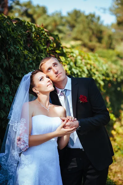 Novia y novio en el día de la boda caminando al aire libre en la naturaleza de primavera. Pareja nupcial, feliz mujer recién casada y hombre abrazándose en el parque verde. Amar pareja de boda al aire libre . — Foto de Stock