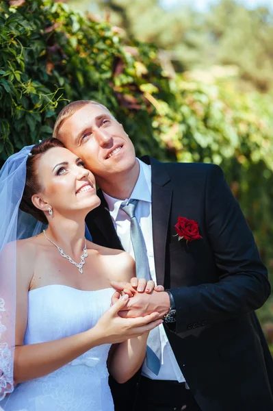 Novia y novio en el día de la boda caminando al aire libre en la naturaleza de primavera. Pareja nupcial, feliz mujer recién casada y hombre abrazándose en el parque verde. Amar pareja de boda al aire libre . — Foto de Stock