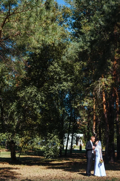 Novia y novio en el día de la boda caminando al aire libre en la naturaleza de primavera. Pareja nupcial, feliz mujer recién casada y hombre abrazándose en el parque verde. Amar pareja de boda al aire libre . —  Fotos de Stock