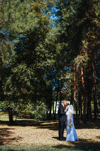 Bruid en bruidegom op huwelijksdag buiten lopen op lente aard. bruidspaar, gelukkig jonggehuwde vrouw en man omarmen in groen park. liefdevolle bruidspaar buiten. — Stockfoto