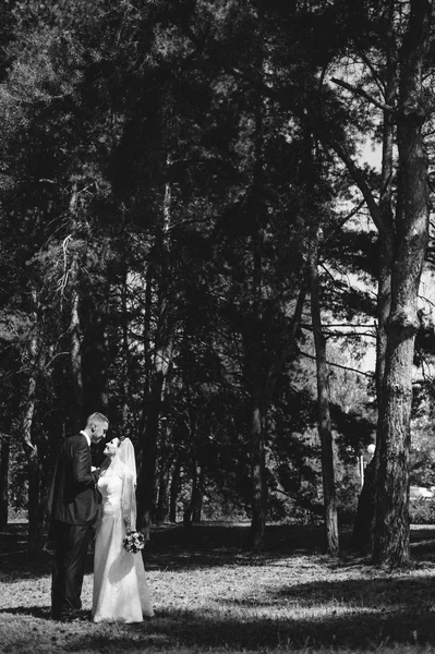 Braut und Bräutigam am Hochzeitstag beim Spaziergang in der Natur des Frühlings. Brautpaar, glückliche frisch vermählte Frau und Mann umarmen sich im grünen Park. Liebendes Hochzeitspaar im Freien. — Stockfoto