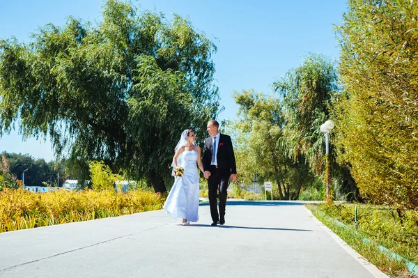 Gelin ve damat, düğün günü açık havada yürüyüş Doğa bahar. mutlu yeni evli kadın ve erkek yeşil park kucaklayan gelin çift. sevgi dolu evlilik çift açık. — Stok fotoğraf