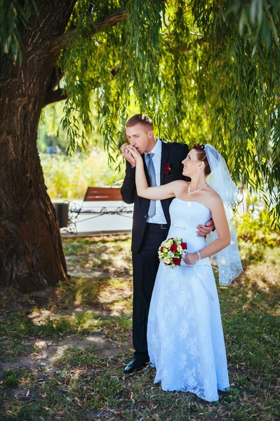 Nevěsty a ženicha na svatební den chůze venku na jarní přírody. Novomanželé, šťastný novomanželský žena a muž objímal v zeleném parku. milující venkovní svatební pár. — Stock fotografie