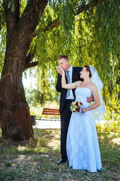 Menyasszony és a vőlegény az esküvő napján a szabadban séta tavasz természet. Nászutas pár, boldog newlywed nő és férfi átfogó zöld parkban. szerető esküvői pár kültéri. — Stock Fotó