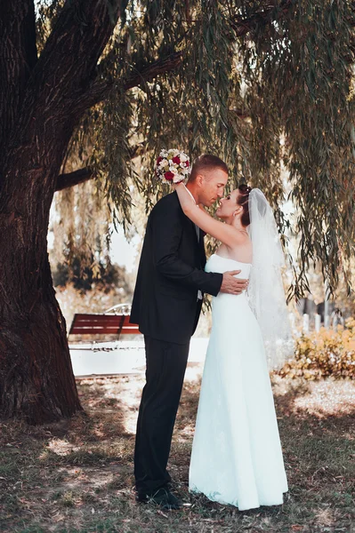 Bruden og brudgommen på bryllupsdagen går utendørs med vårnaturen. Brudeparet, Happy Newlywed kvinne og mann omfavner i Green Park. Elsker brudepar utendørs . – stockfoto