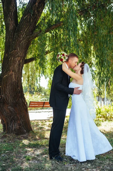 Nevěsty a ženicha na svatební den chůze venku na jarní přírody. Novomanželé, šťastný novomanželský žena a muž objímal v zeleném parku. milující venkovní svatební pár. — Stock fotografie