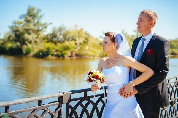 Um casamento à beira-mar. Lua-de-mel. A noiva e o noivo abraçados na margem do lago. noivo e noiva abraçando em um lago verde. O noivo e a noiva num parque. Vestido de noiva. Buquê de casamento nupcial de flores . — Fotografia de Stock