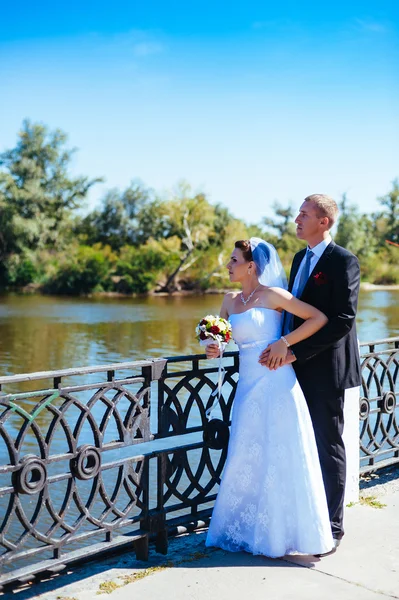 A wedding by the sea. Honeymoon. The bride and groom hugging on the shore of Lake. groom and bride hugging on a green lake. Groom and Bride in a park. wedding dress. Bridal wedding bouquet of flowers. — Stock Photo, Image