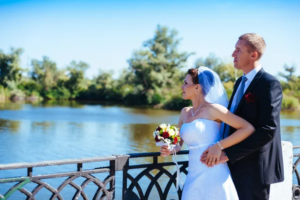 Um casamento à beira-mar. Lua-de-mel. A noiva e o noivo abraçados na margem do lago. noivo e noiva abraçando em um lago verde. O noivo e a noiva num parque. Vestido de noiva. Buquê de casamento nupcial de flores . — Fotografia de Stock