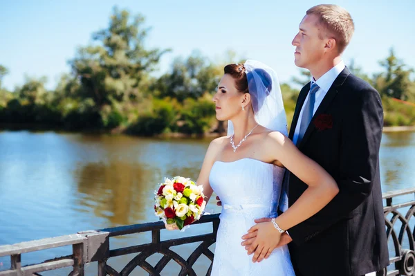 Um casamento à beira-mar. Lua-de-mel. A noiva e o noivo abraçados na margem do lago. noivo e noiva abraçando em um lago verde. O noivo e a noiva num parque. Vestido de noiva. Buquê de casamento nupcial de flores . — Fotografia de Stock