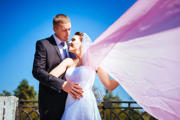 Novomanžele couple.wind zrušení dlouhé bílé svatební závoj. nevěsta a ženich s růžový šál. — Stock fotografie