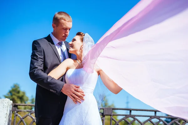 Novomanžele couple.wind zrušení dlouhé bílé svatební závoj. nevěsta a ženich s růžový šál. — Stock fotografie