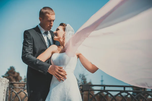 Recém-casados couple.wind levantando longo véu nupcial branco. noiva e noivo com o xale rosa . — Fotografia de Stock