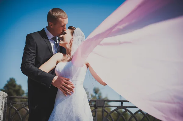 Onlangs getrouwd couple.wind opheffing lange witte bruids sluier. bruid en bruidegom met de roze sjaal. — Stockfoto