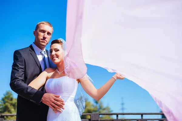 Recém-casados couple.wind levantando longo véu nupcial branco. noiva e noivo com o xale rosa . — Fotografia de Stock