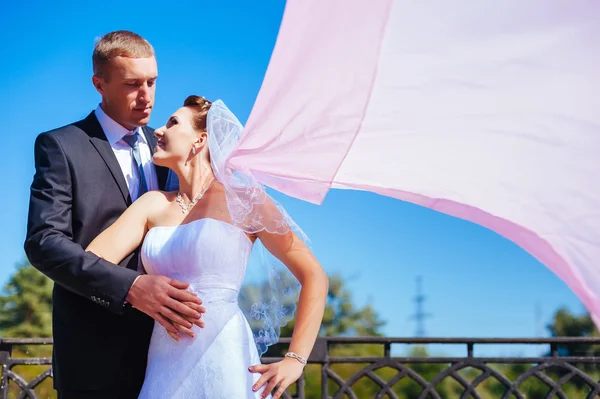 Recém-casados couple.wind levantando longo véu nupcial branco. noiva e noivo com o xale rosa . — Fotografia de Stock