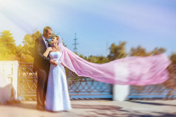 Onlangs getrouwd couple.wind opheffing lange witte bruids sluier. bruid en bruidegom met de roze sjaal. — Stockfoto