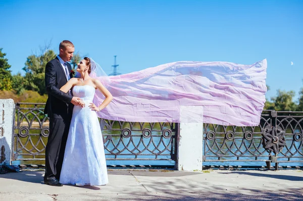 Onlangs getrouwd couple.wind opheffing lange witte bruids sluier. bruid en bruidegom met de roze sjaal. — Stockfoto