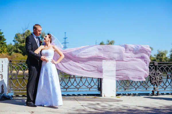 Frisch verheiratetes Paar. Wind lüftet langen weißen Brautschleier. Braut und Bräutigam mit dem rosa Schal. — Stockfoto