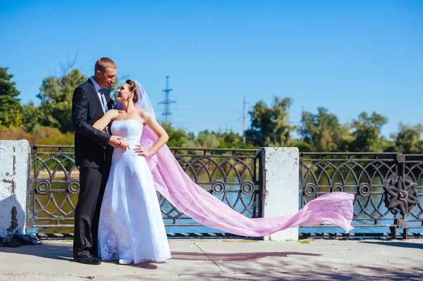 Newly married couple.wind lifting long white bridal veil. bride and groom with the pink shawl. — Stock Photo, Image