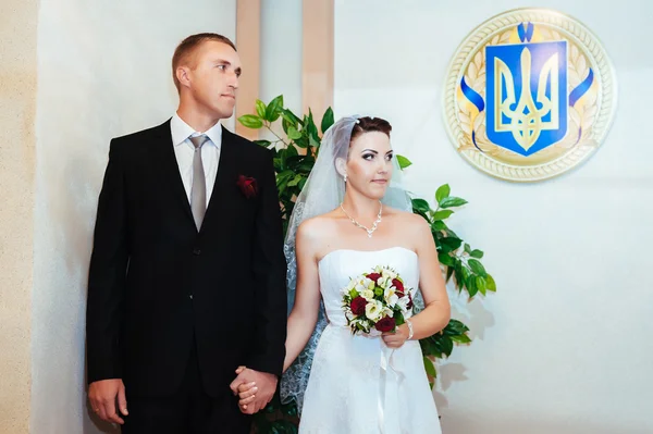 Cérémonie de mariage dans un bureau d'enregistrement, mariage . — Photo