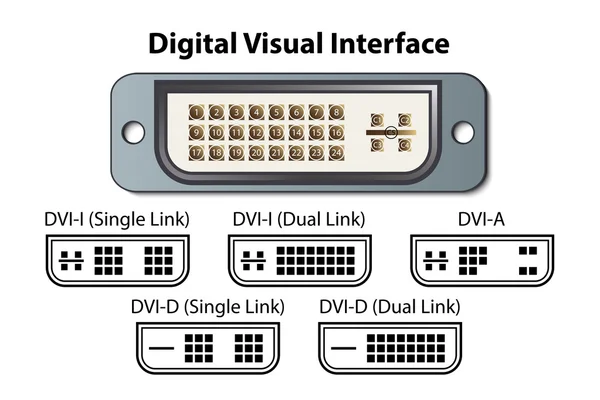 Digital Visual Interface Diagram — Stock Vector