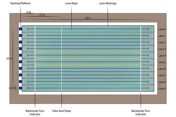 绘图的游泳池 — 图库矢量图片