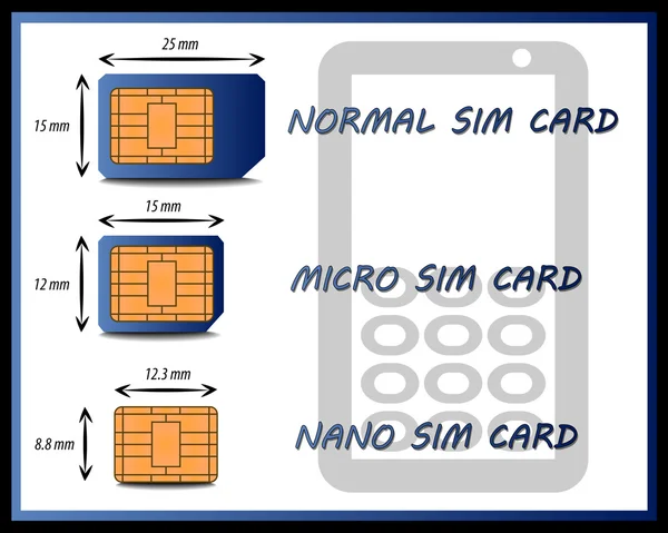 Grafico dei diversi tipi di schede SIM — Vettoriale Stock