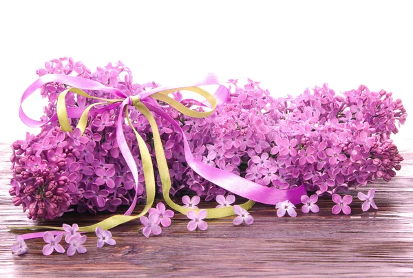 Ramo fiorito di lilla — Foto Stock