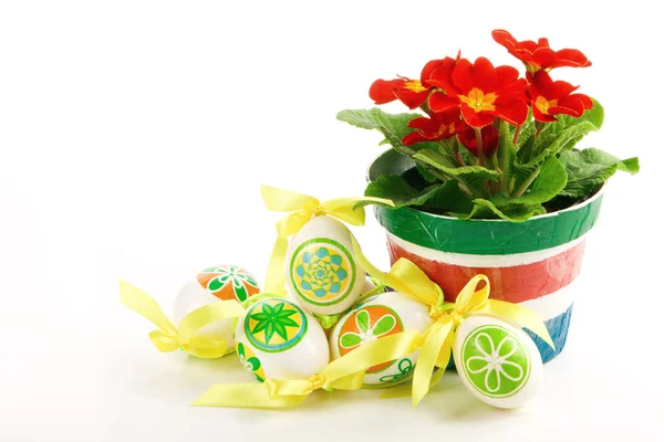 Eier und Blume — Stockfoto