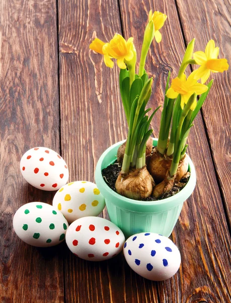 Narcissus с яйцами — стоковое фото