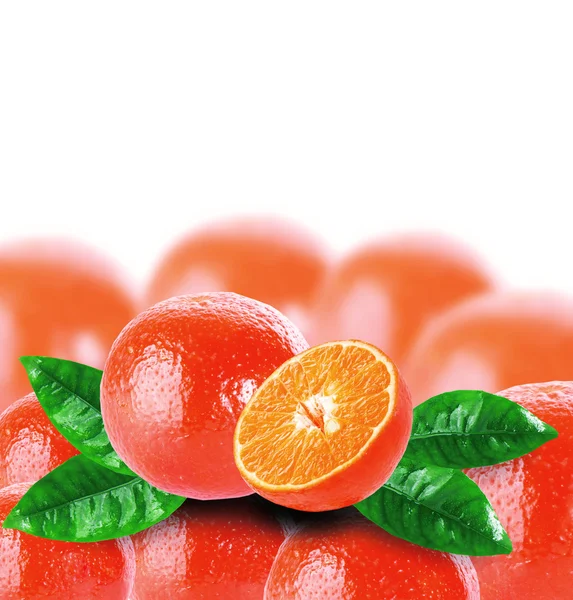 Citrus fruits — Stock Photo, Image