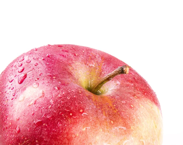 Apple Stock Image