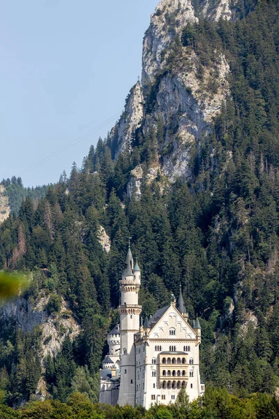 Neuschwanstein Şatosu, Alman Alpleri 'nin arka planına karşı zarif bir şekilde yükseliyor. Etrafı gür ağaçlar ve yüksek tepelerle çevrili. Peri masalı manzarasının özünü yakalıyor..