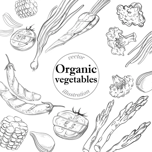 Légumes frais et sains. Modèle de fond organique . — Image vectorielle