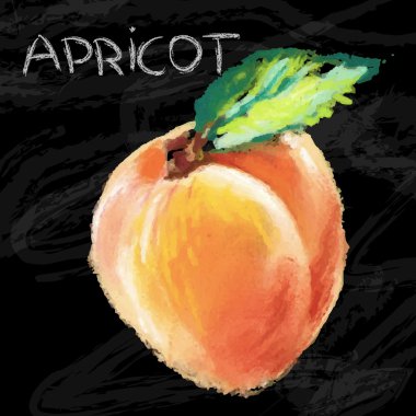 Siyah arka plan üzerine yaprakları ile kayısı