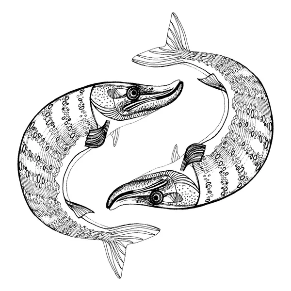 Peixe-pique — Vetor de Stock